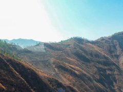公司受电厂委托进行拟拆除场外线进行实地查勘