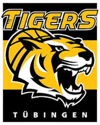 拜尔勒沃库森巨人